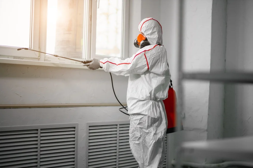 Professional mold remediation services in Triangle, VA